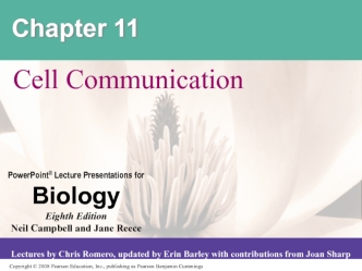 Cell Communication