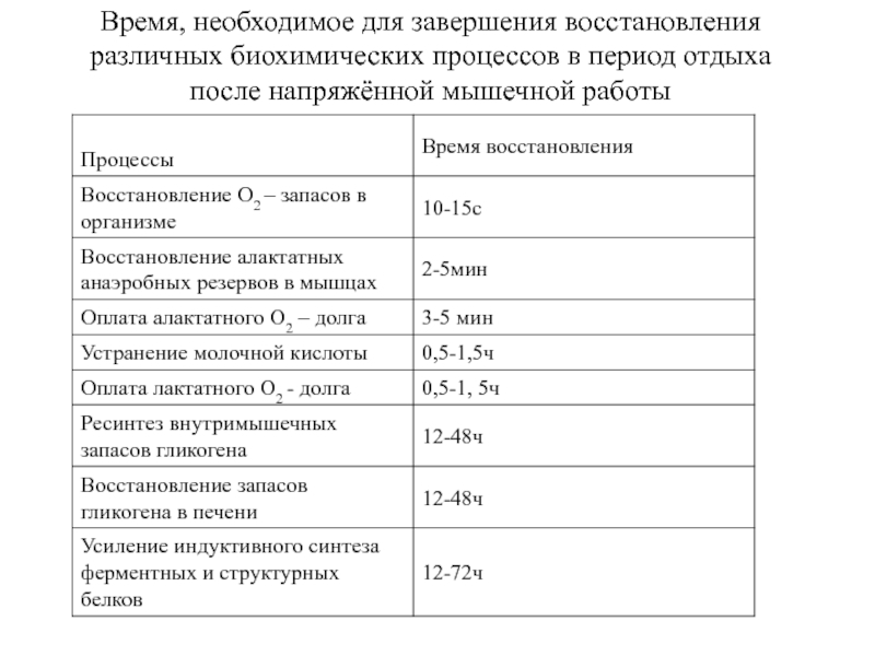 Периоды отдыха. Периоды восстановления после мышечной работы. Направленность биохимических процессов. Периоды процессов восстановления. Периоды отдыха периоды работы.