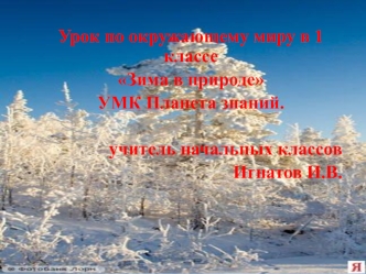 Урок по окружающему миру в 1 классе. Зима в природе. УМК Планета знаний