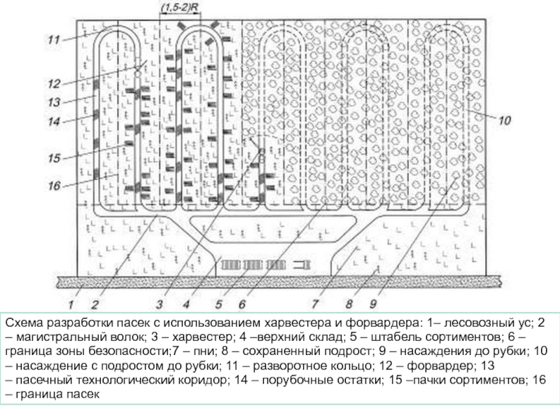 Разработка лесосеки схема