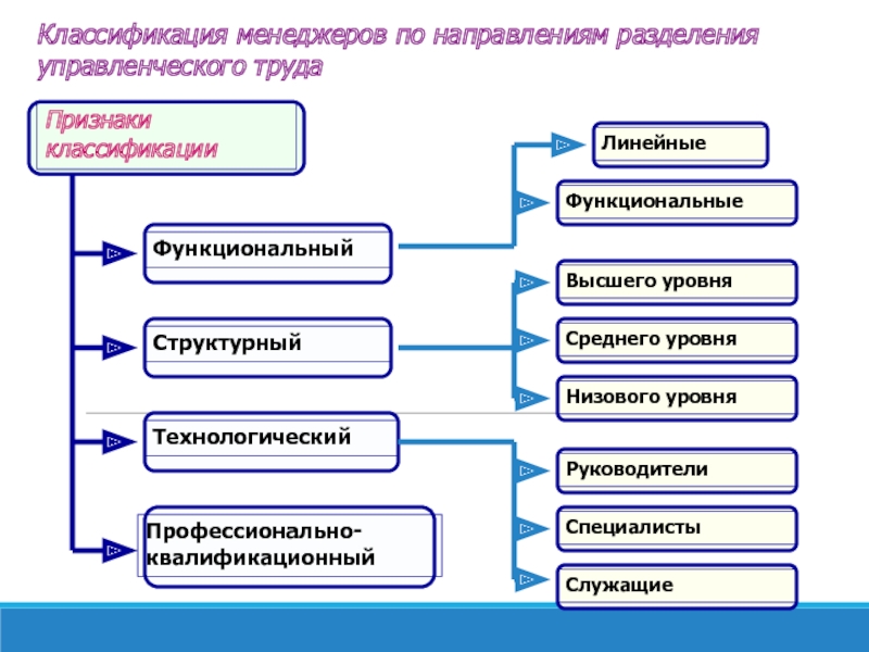 Должность направления. Классификация менеджеров. Классификация менеджеров в организации. Классификация менеджеров по уровням управления. Классификация менеджмента по сфере деятельности:.