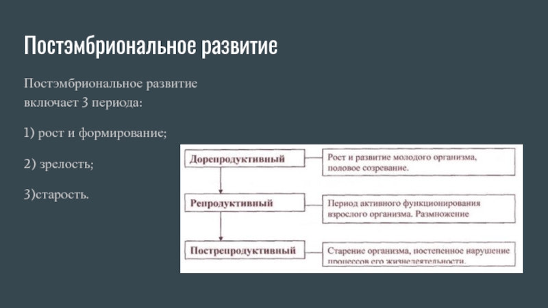 Постэмбриональное развитие тест. Период старения постэмбрионального развития. Типы постэмбрионального развития таблица. Дорепродуктивный период.