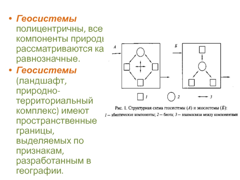 Региональные геосистемы. Элементы геосистемы. Компонент геосистемы. Взаимосвязь компонентов геосистемы. Компоненты геосистемы примеры.