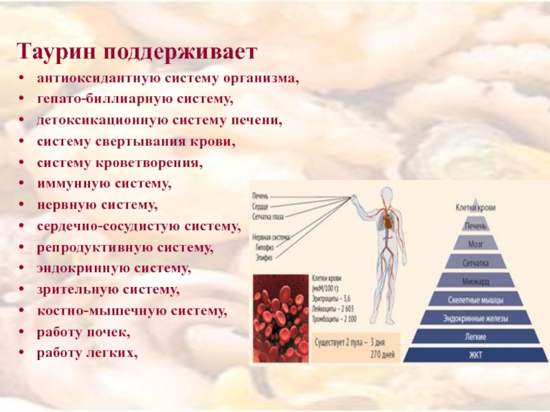 Таурин свойства для организма