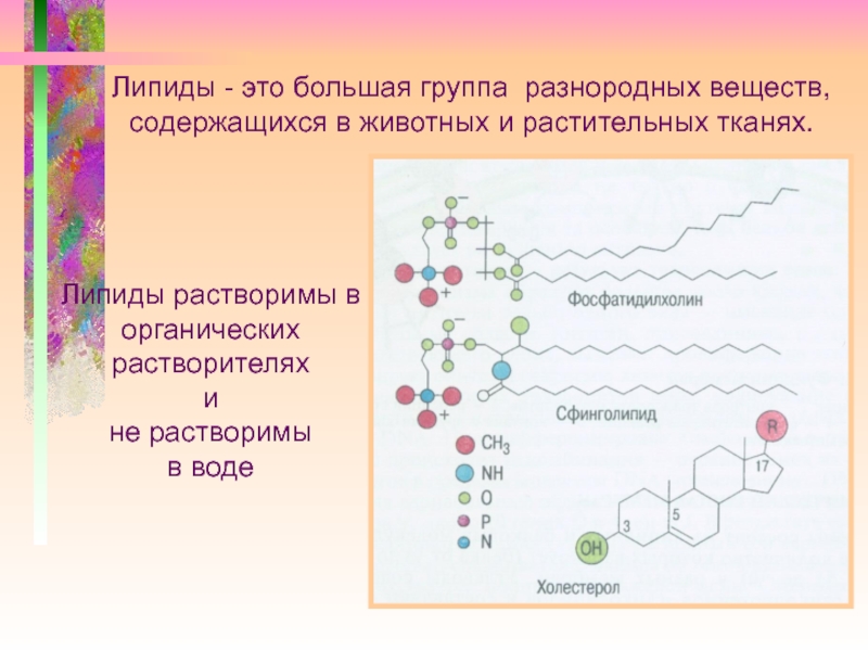 Неомыляемые липиды презентация