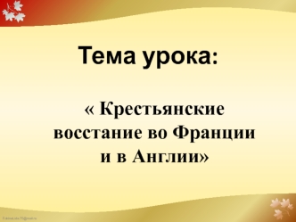 Крестьянские восстания во Франции и в Англии