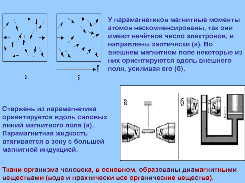 Магнитное поле магнитного момента атома