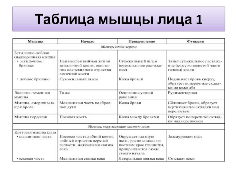 Мышцы таблица. Таблица мышцы головы и шеи таблица. Мышцы шеи таблица прикрепление и функции. Мимические мышцы головы таблица анатомия. Мышцы головы начало прикрепление функции таблица.