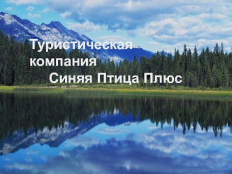 Турфирма Синяя птица плюс