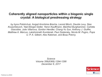 Coherently aligned nanoparticles within a biogenic single crystal: A biological prestressing strategy