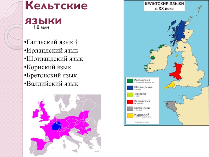 Реферат: Проблемы перевода русских реалий на бретонский язык