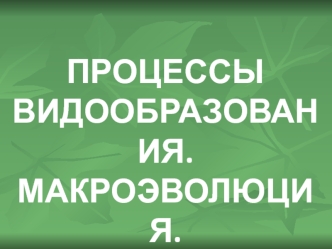 Процессы видообразования. Макроэволюция