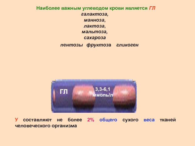 Масса ткани. Углеводы крови. Основной углевод крови это. БЖУ крови. БЖУ крови человека.