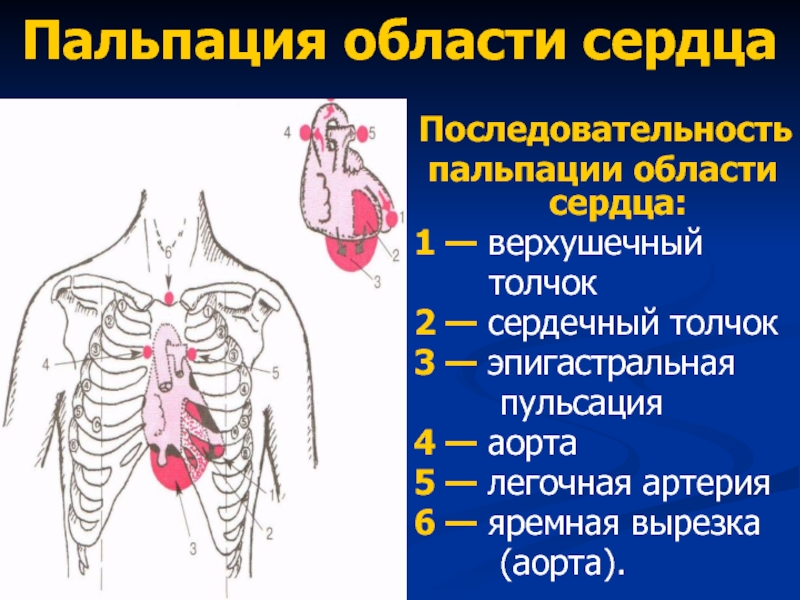 Сердце порядка