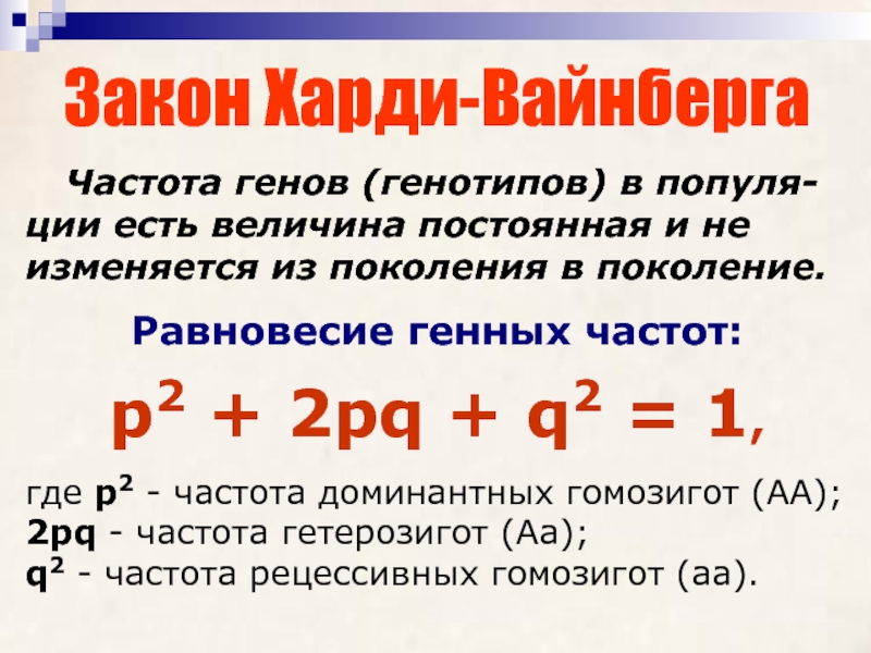 Презентация закон харди вайнберга популяции 11 класс