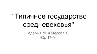 Типичное государство средневековья