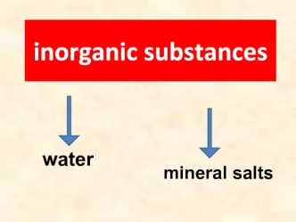 Inorganic substances. Water. Mineral salts