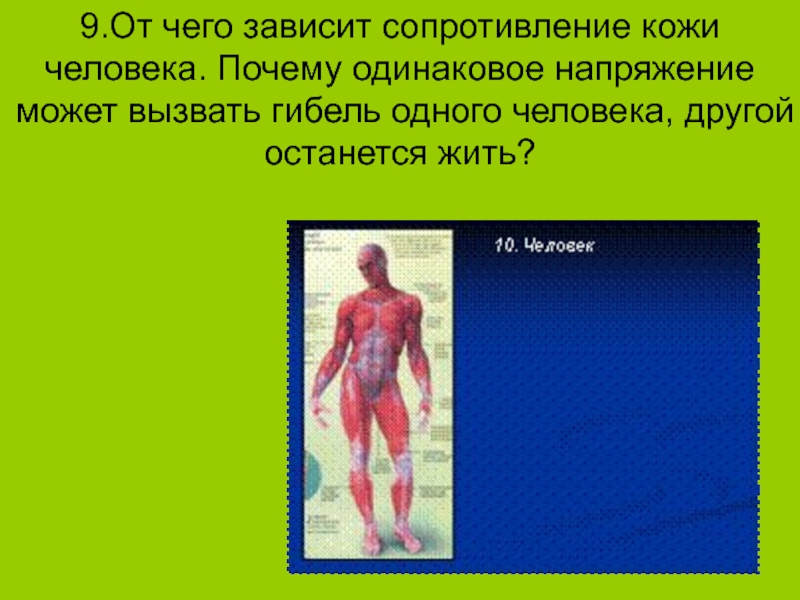 Простейший организм что это. Сопротивление человеческого тела. Кожа человека сопротивление кожи. Сопротивление кожного Покрова человека. Понятие простого тела.