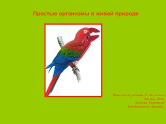 Простые организмы в живой природе