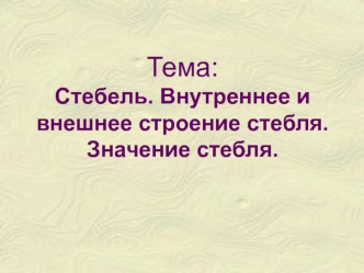 Стебель. Внутреннее и внешнее строение стебля. Значение стебля