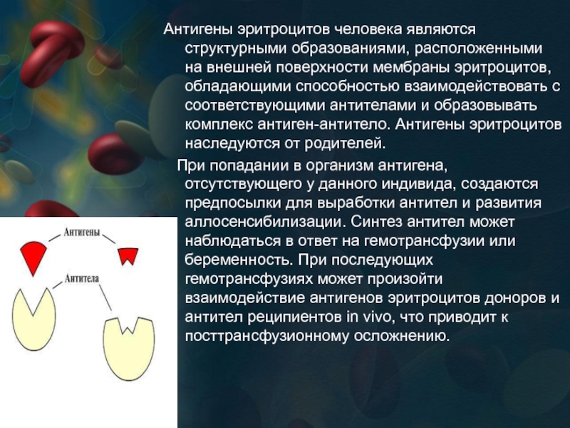 На мембране эритроцитов располагаются особые вещества