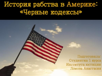 Рабство в США. Черные кодексы