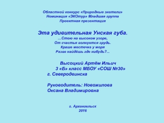 Областной конкурс Природные знатели. Проект 