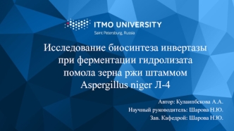 Исследование биосинтеза инвертазы при ферментации гидролизата помола зерна ржи штаммом Aspergillus niger Л-4