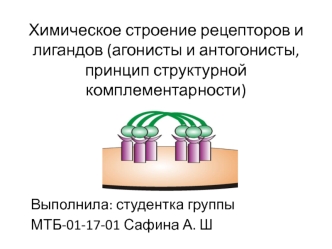 Химическое строение рецепторов и лигандов. Агонисты и антогонисты, принцип структурной комплементарности