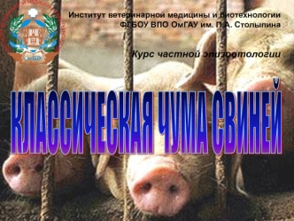 Классическая чума свиней