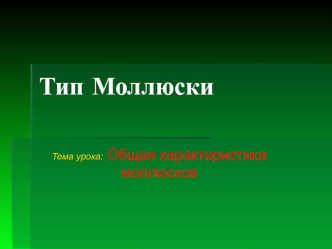 Общая характеристика моллюсков