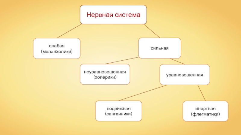 Презентация на тему мышление 8 класс