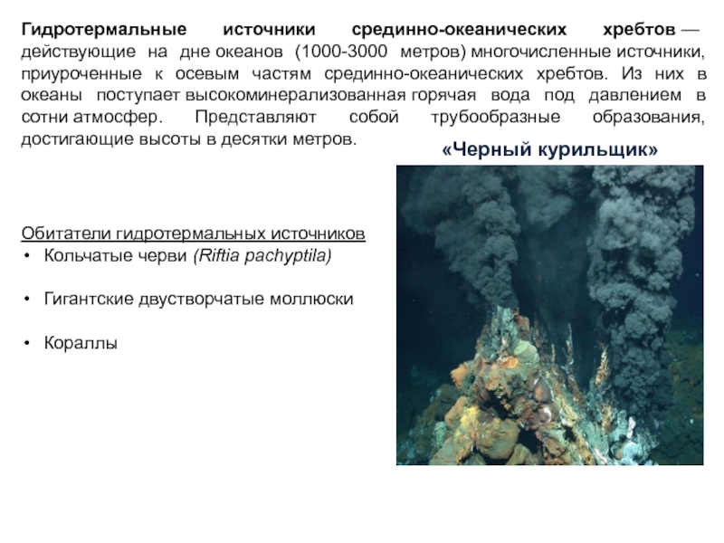 Черные курильщики это гидротермальные. Гидротермальные источники срединно-океанических хребтов. Гидротермальные источники на карте. Чёрные курильщики на дне океанов на карте мира.