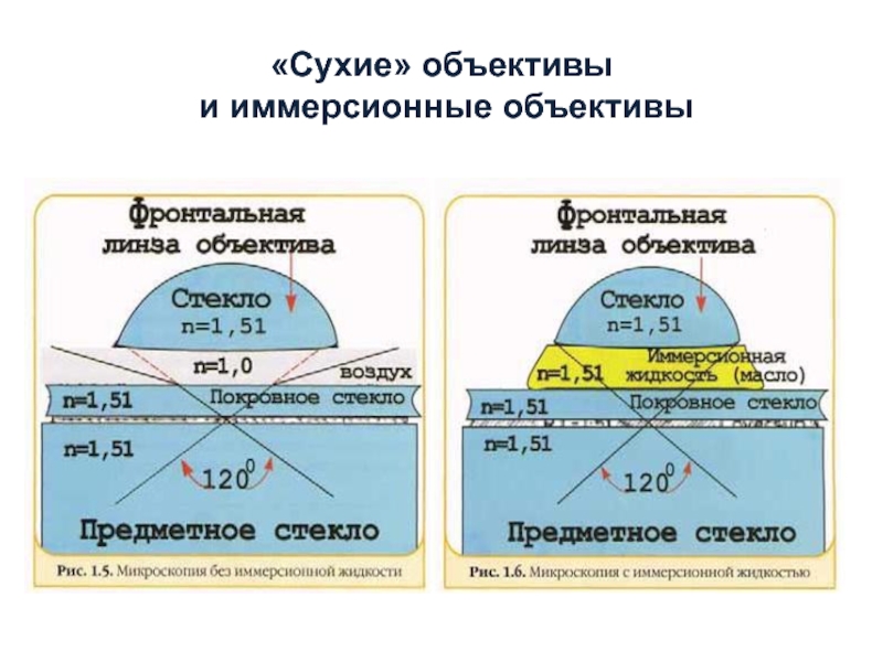 Яркость изображения в иммерсионном объективе больше чем в сухом объективе