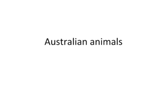 Australian animals