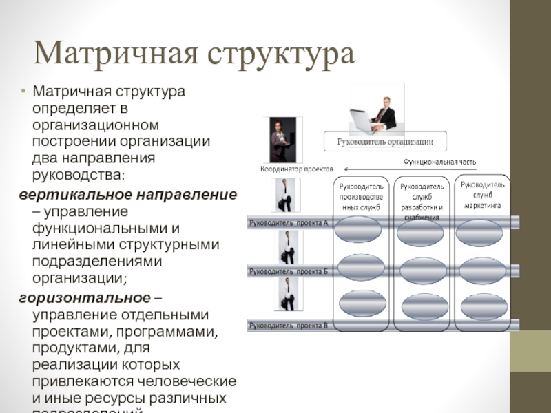 Управляющий направления