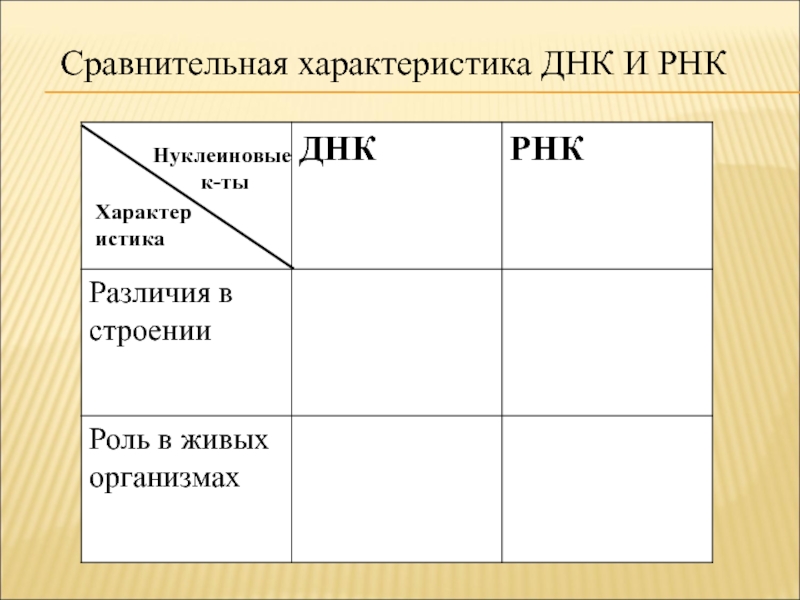 Характеристика днк и рнк. Сравнительная характеристика ДНК И РНК таблица пустая. Сравнительная характеристика РНК ДНК А ты.