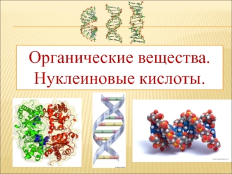 Органические вещества. Нуклеиновые кислоты