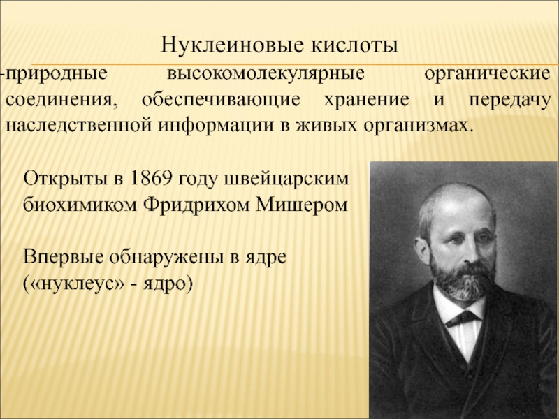 Нуклеиновые кислоты органические. Нуклеиновые кислоты открыл в 1869 году. Нуклеиновые кислоты ЕГЭ биология. Нуклеиновые кислоты ЕГЭ. Нуклеиновые кислоты ЕГЭ биология теория.