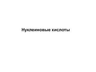 Нуклеиновые кислоты