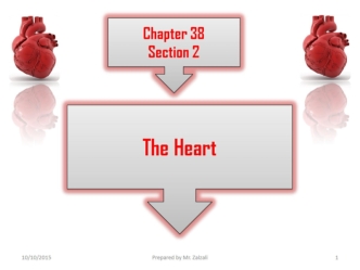 The нeart (PIC). (Chapter 38. Section 2)