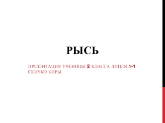 Рысь. Виды рысей