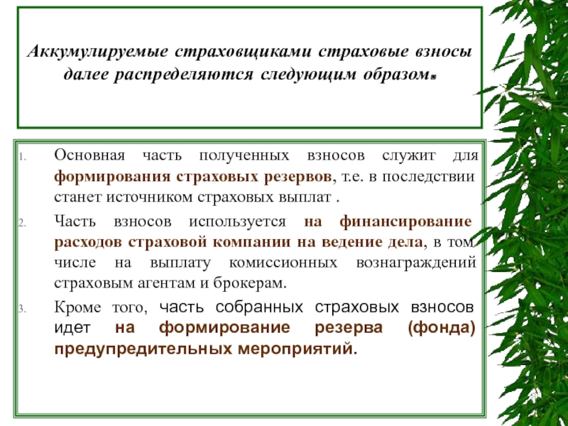 Главным образом предложения. Источники страховых выплат. Источниками формирования страховых фондов являются:. Страховые взносы распределяются следующим образом:. Задачи по экологическому страхованию с ответами.