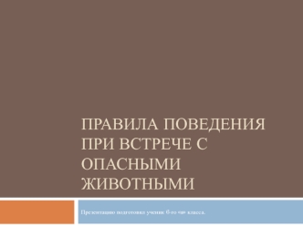 Правила поведения при встрече с опасными животными