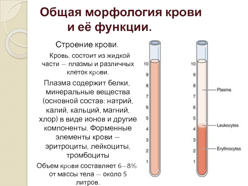 Калий натрий плазмы