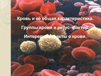 Кровь и её общая характеристика. Группы крови и резус-фактор. Интересные факты о крови