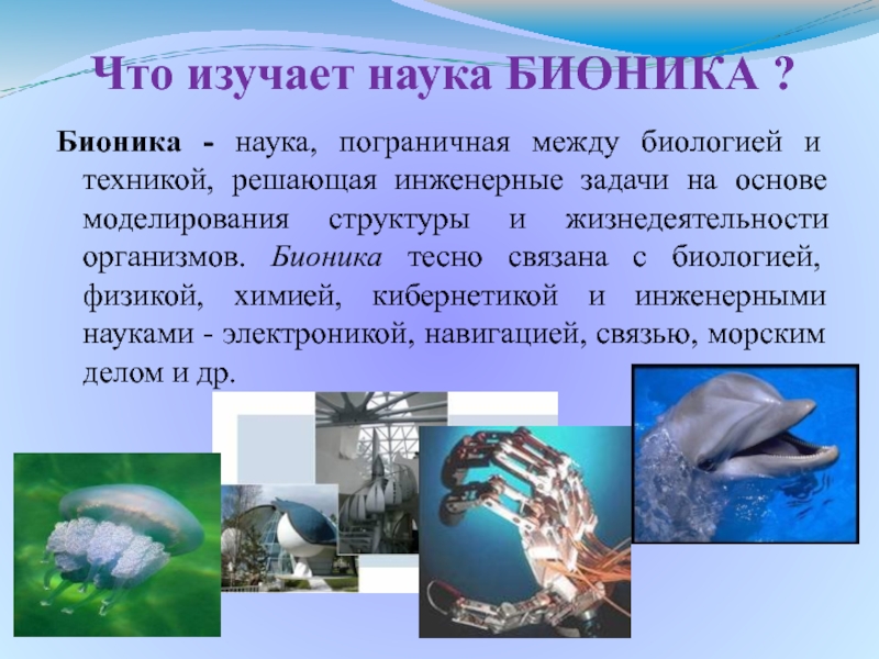 Доклад: Биоакустика рыб