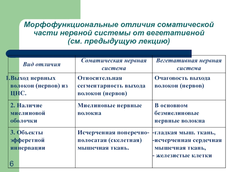 Механизмы соотносительных преобразований органов и систем органов. Отличие вегетативной системы от соматической. Сегментарность нервной системы. Морфофункциональные преобразования органов. Способы морфофункциональных преобразований органов.