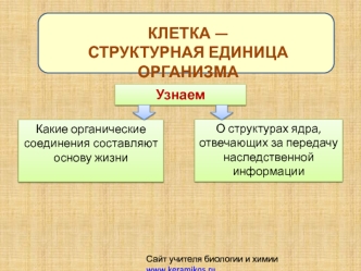 Клетка - структурная единица организма