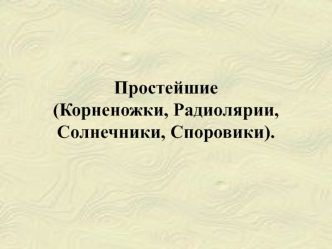 Простейшие (Корненожки, солнечники, споровики, радиолярии)